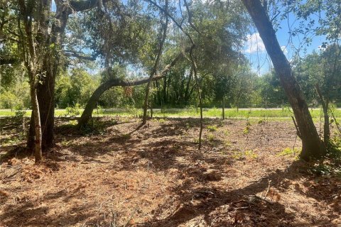 Land in Groveland, Florida № 1886665 - photo 28