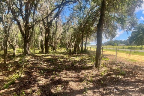 Land in Groveland, Florida № 1886665 - photo 22