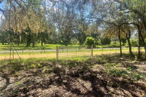 Land in Groveland, Florida № 1886665 - photo 16