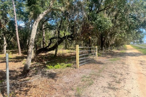 Land in Groveland, Florida № 1886665 - photo 11