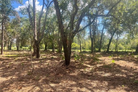 Land in Groveland, Florida № 1886665 - photo 26