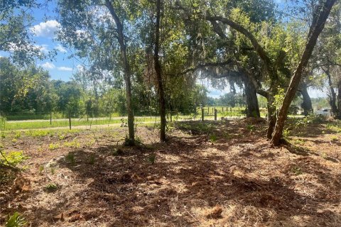 Land in Groveland, Florida № 1886665 - photo 29