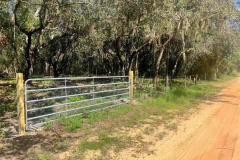 Land in Groveland, Florida № 1886665 - photo 14