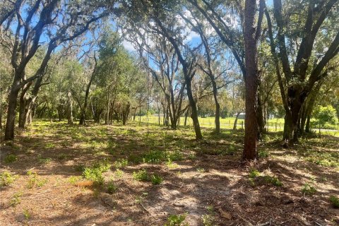 Land in Groveland, Florida № 1886665 - photo 20