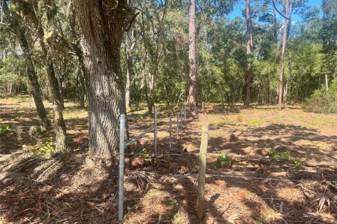 Land in Groveland, Florida № 1886665 - photo 13
