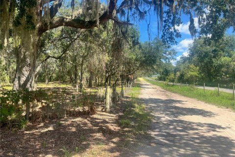 Land in Groveland, Florida № 1886665 - photo 7
