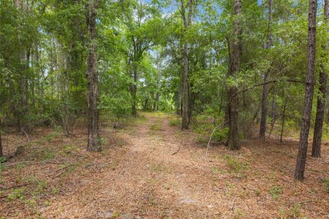 Land in Newberry, Florida № 2218000 - photo 21