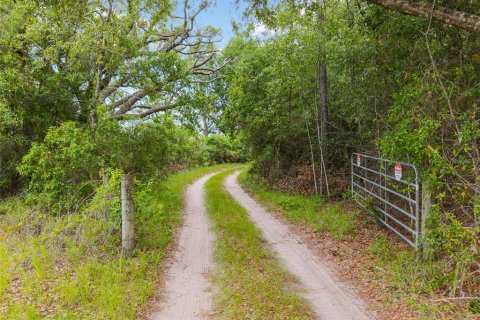 Land in Newberry, Florida № 2218000 - photo 13