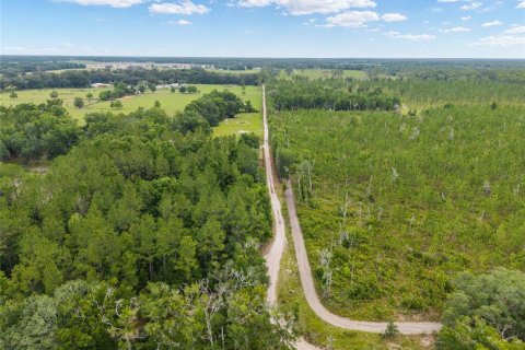 Land in Newberry, Florida № 2218000 - photo 5