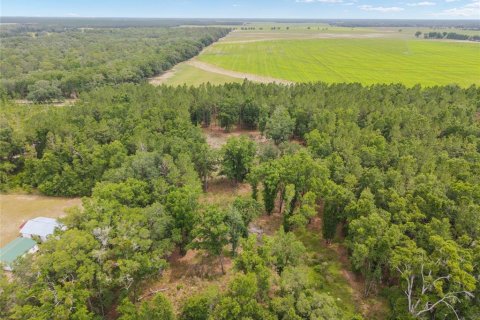 Land in Newberry, Florida № 2218000 - photo 27