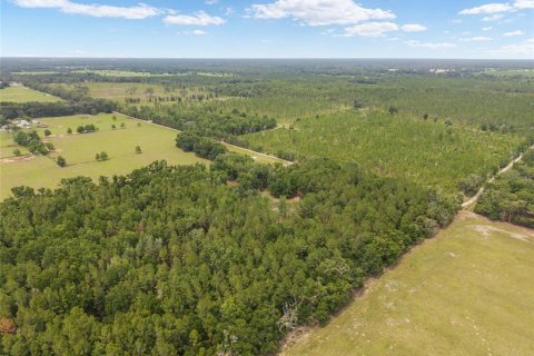 Land in Newberry, Florida № 2218000 - photo 28