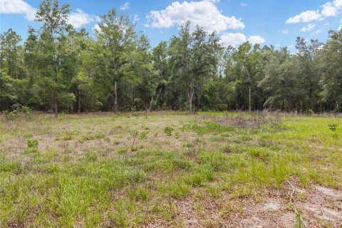 Land in Newberry, Florida № 2218000 - photo 24