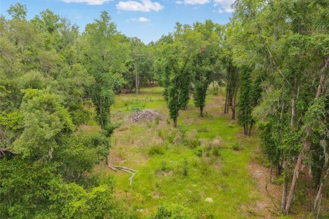 Land in Newberry, Florida № 2218000 - photo 17