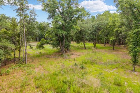 Land in Newberry, Florida № 2218000 - photo 18