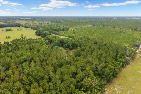 Land in Newberry, Florida № 2218000 - photo 14