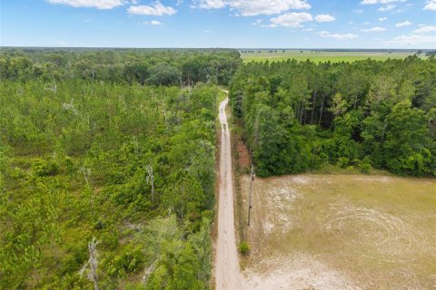 Land in Newberry, Florida № 2218000 - photo 8