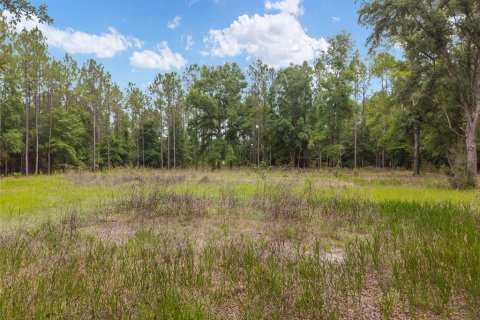 Land in Newberry, Florida № 2218000 - photo 19