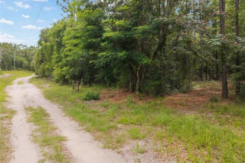 Land in Newberry, Florida № 2218000 - photo 23