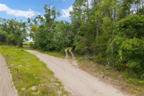 Land in Newberry, Florida № 2218000 - photo 11