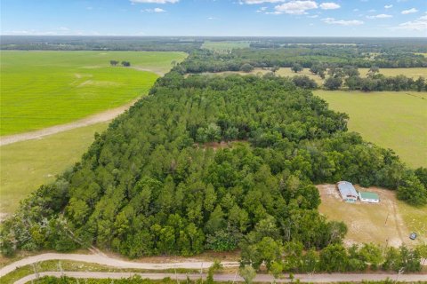 Land in Newberry, Florida № 2218000 - photo 4