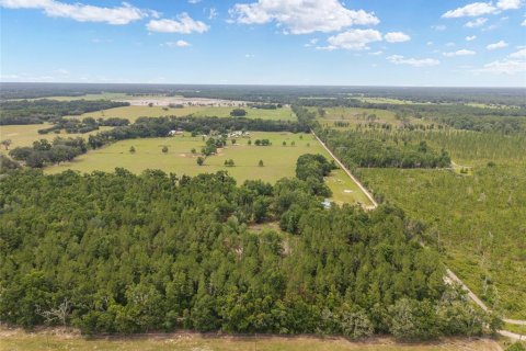 Land in Newberry, Florida № 2218000 - photo 29