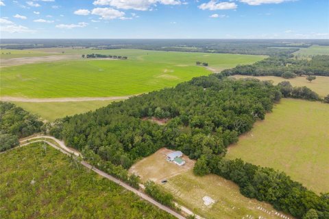 Land in Newberry, Florida № 2218000 - photo 2