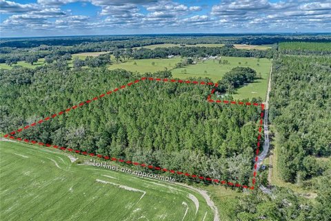 Land in Newberry, Florida № 2218000