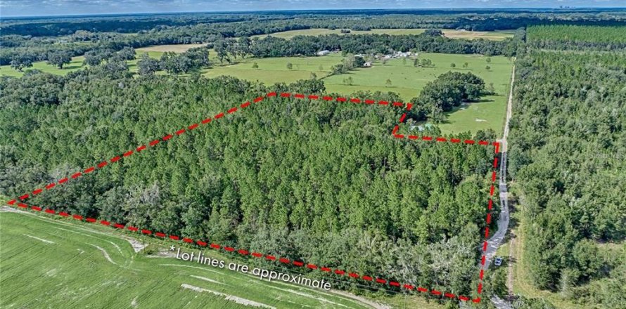 Land in Newberry, Florida № 2218000