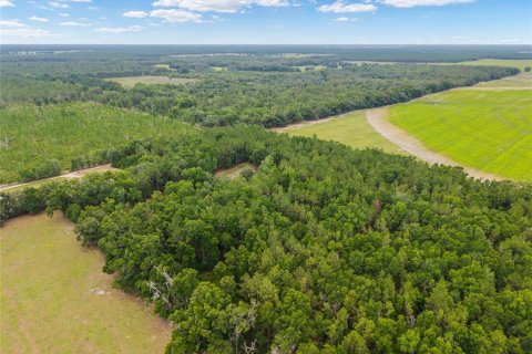 Land in Newberry, Florida № 2218000 - photo 15
