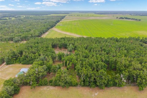 Land in Newberry, Florida № 2218000 - photo 16