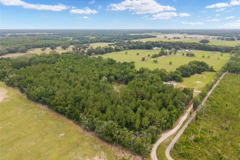Land in Newberry, Florida № 2218000 - photo 3