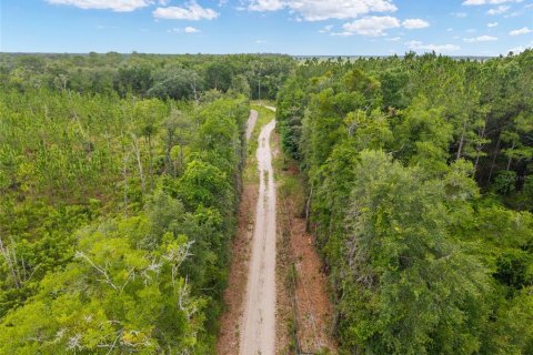Land in Newberry, Florida № 2218000 - photo 10