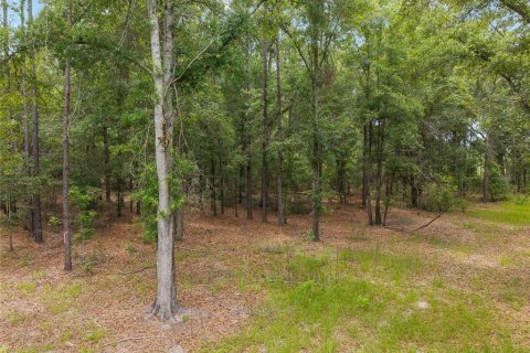 Land in Newberry, Florida № 2218000 - photo 20