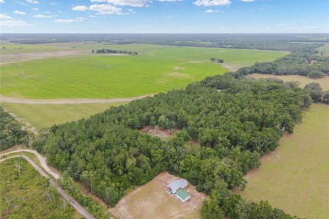 Land in Newberry, Florida № 2218000 - photo 7