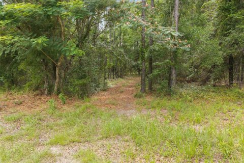 Land in Newberry, Florida № 2218000 - photo 22