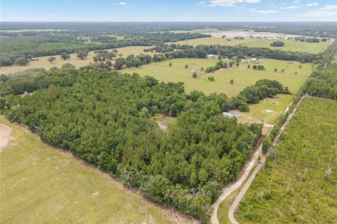 Land in Newberry, Florida № 2218000 - photo 30