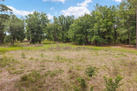 Land in Newberry, Florida № 2218000 - photo 25