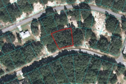 Land in Ocklawaha, Florida № 2212574