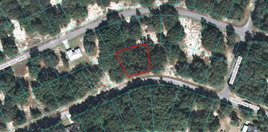 Land in Ocklawaha, Florida № 2212574