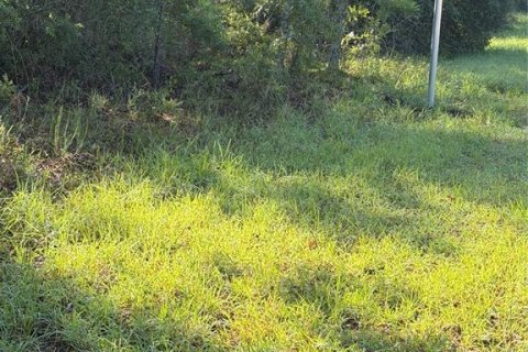 Land in Interlachen, Florida № 2219375 - photo 4