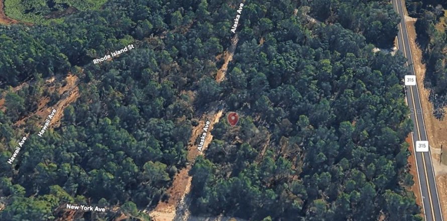 Land in Interlachen, Florida № 2219375