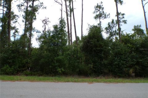 Terrain à vendre à North Port, Floride № 2158926 - photo 7