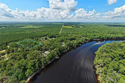 Land in Bell, Florida № 2163391 - photo 4
