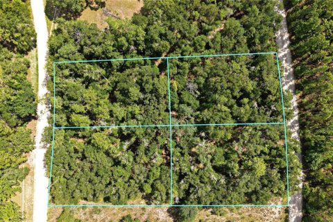 Land in Bell, Florida № 2163391 - photo 2