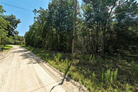 Land in Bell, Florida № 2163391 - photo 3