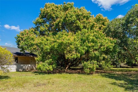Terrain à vendre à Homestead, Floride № 2036408 - photo 19