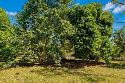Terrain à vendre à Homestead, Floride № 2036408 - photo 16