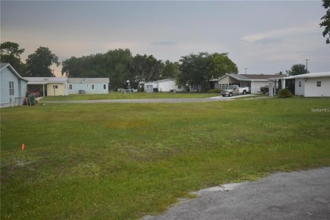 Land in Wildwood, Florida № 2275525