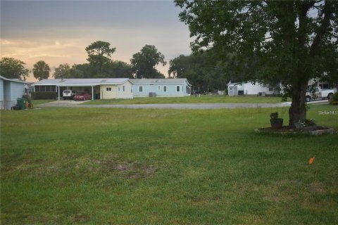 Land in Wildwood, Florida № 2275525 - photo 2