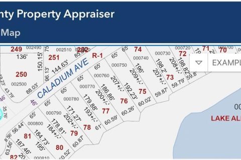 Terreno en venta en Lake Alfred, Florida № 2229607 - foto 9